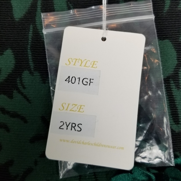 David Charles Girls 2 YRS Green Brocade Dress Jacquard Special Occasion Holiday - Picture 10 of 15